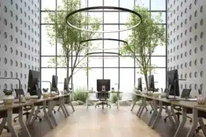 What is Biophilic Design in Office Spaces