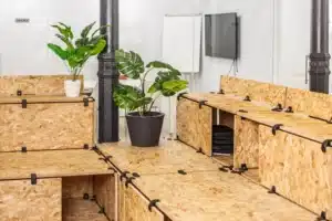 Eco-Friendly Materials in Retail Interior Design