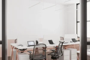 Minimalist Office Interior Design