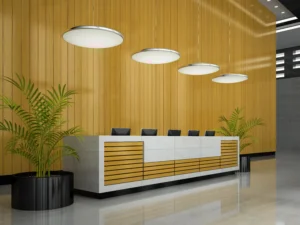 Office Reception Area Design