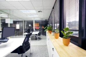 Modern Office Interior Design