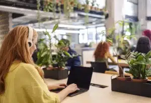 Why Indoor Office Plants Matter