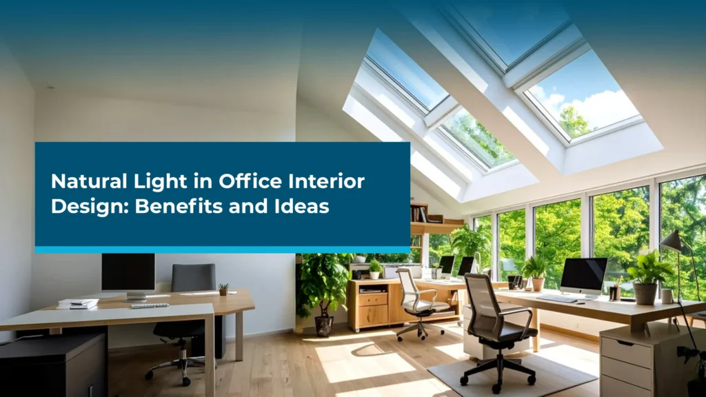 Natural Light in Office Interior Design