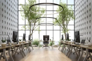 Why Should Every Office Prioritise Daylight